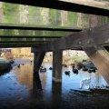 IMG_367302