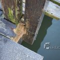 IMG_367311
