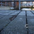 IMG_367318