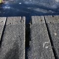 IMG_367359