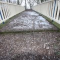 IMG_367443