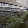IMG_367460