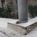 IMG_367466