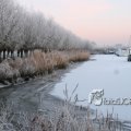 IMG_366596