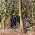 IMG_373131