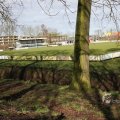 IMG_373227