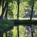 IMG_392763