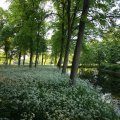 IMG_392942