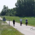 IMG_415666