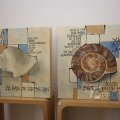IMG_423579