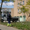 IMG_423869