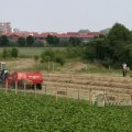 IMG_423885