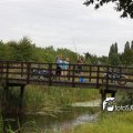 IMG_462662