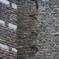 IMG_472929
