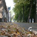 IMG_473125
