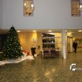 IMG_516204