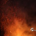 IMG_516354