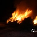 IMG_516713