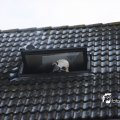 IMG_516908