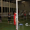 IMG_517206