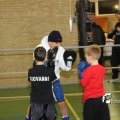 IMG_517229