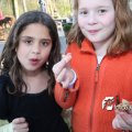 IMG_549562