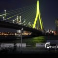 IMG_555350