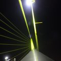 IMG_555446