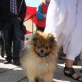 IMG_557737
