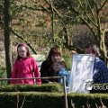 IMG_553753