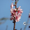 IMG_553769