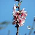 IMG_553771