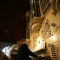 IMG_575169