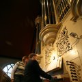 IMG_575170