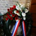 IMG_575181