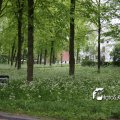 IMG_578024