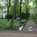 IMG_578025