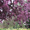 IMG_578029