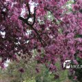 IMG_578032