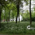 IMG_578033
