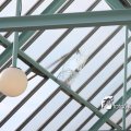 IMG_580306