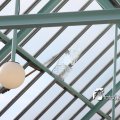 IMG_580307