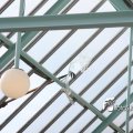 IMG_580309