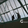 IMG_580315