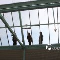IMG_580376