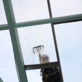 IMG_580387