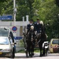 IMG_578729
