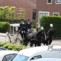IMG_578737
