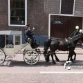 IMG_578751