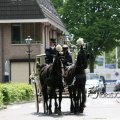 IMG_578758